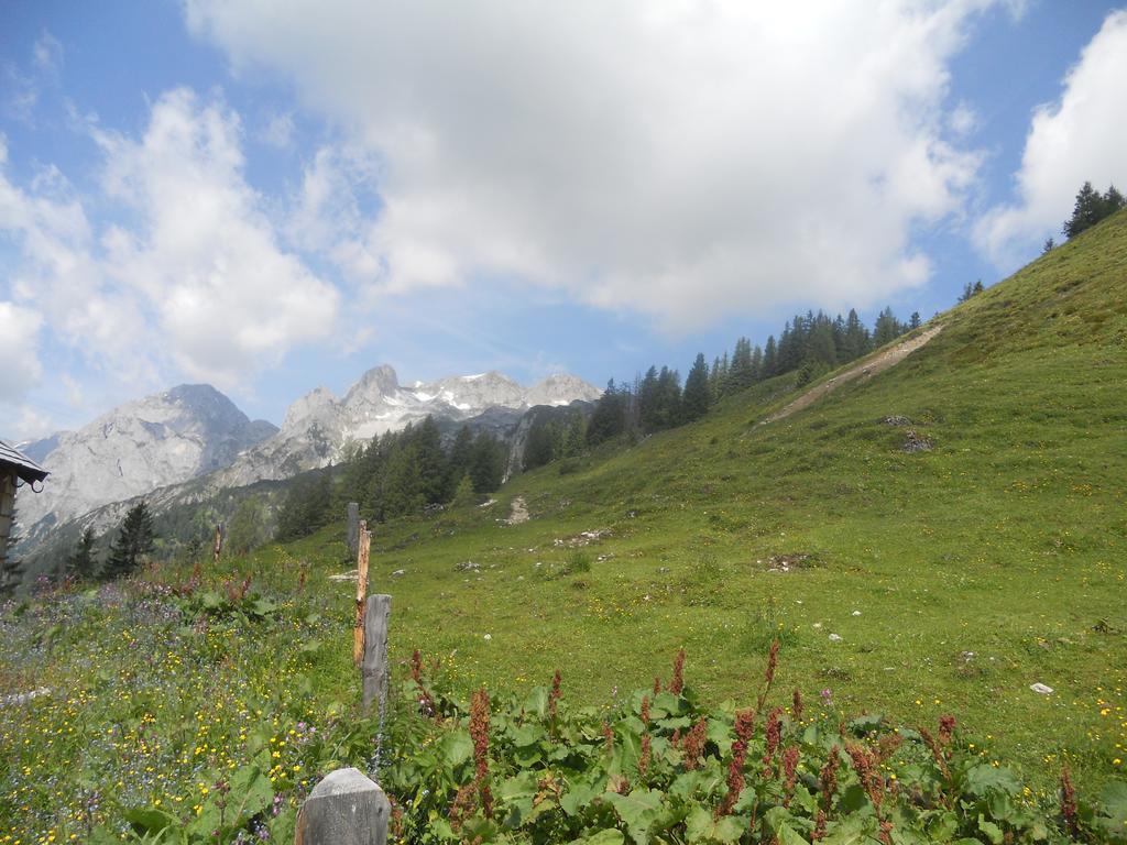 Ferienwohnung Vorderhof Sankt Martin am Tennengebirge Exterior foto