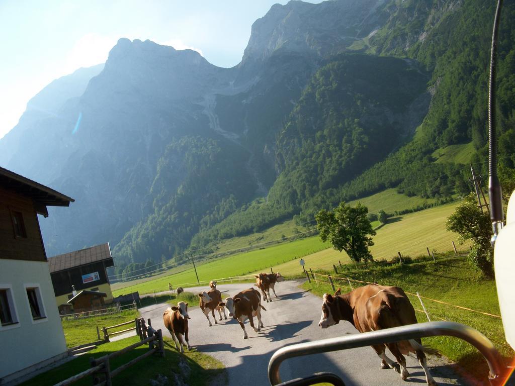 Ferienwohnung Vorderhof Sankt Martin am Tennengebirge Exterior foto